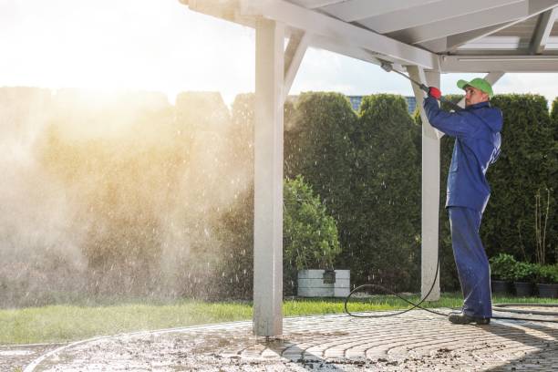 Best Soft Washing for Delicate Surfaces in Castlewood, VA